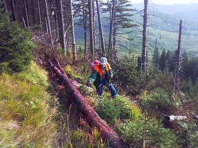 Ekofarma Rudohoří a Ekofarma Domašov - Bělá pod Pradědem, Jeseníky